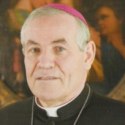 Immagine di Parrocchia di Voltabarozzo